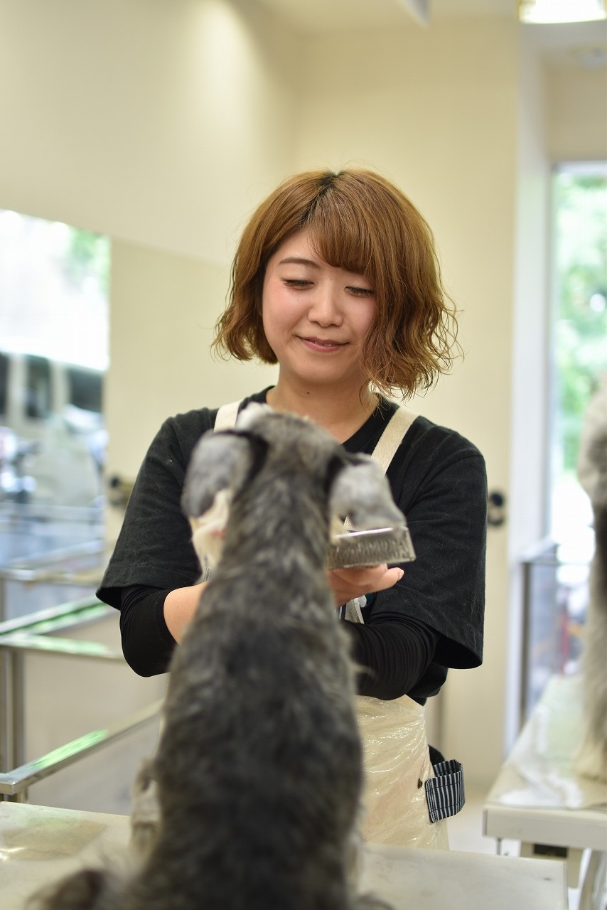 田中 梨子