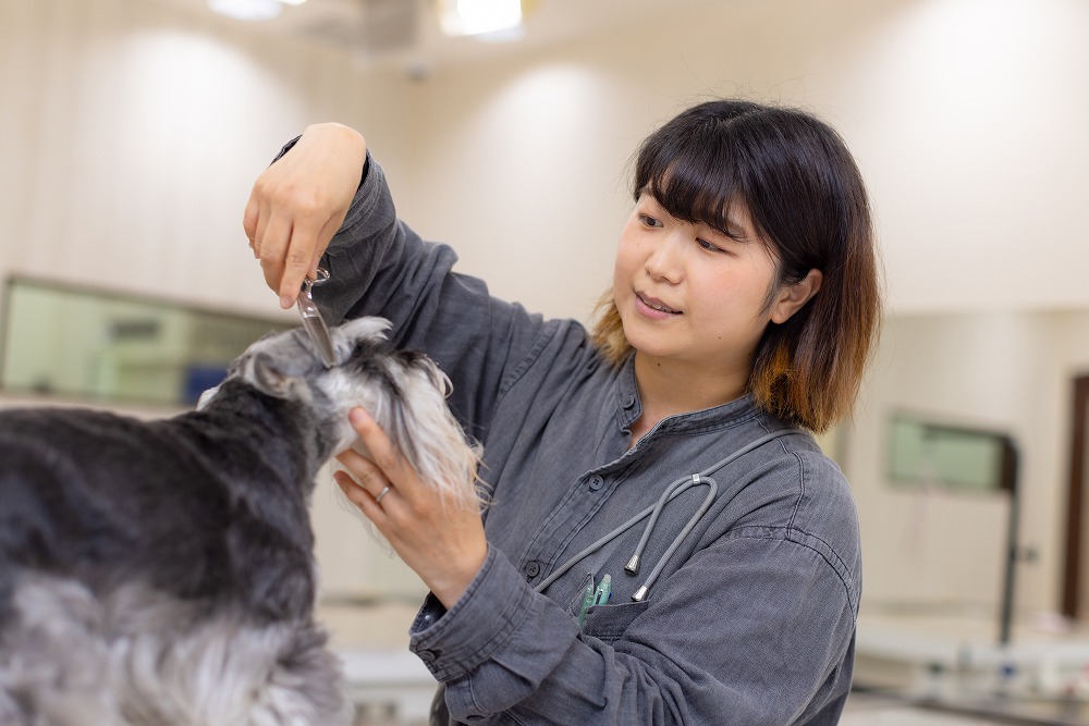 【トリマー】田中梨子